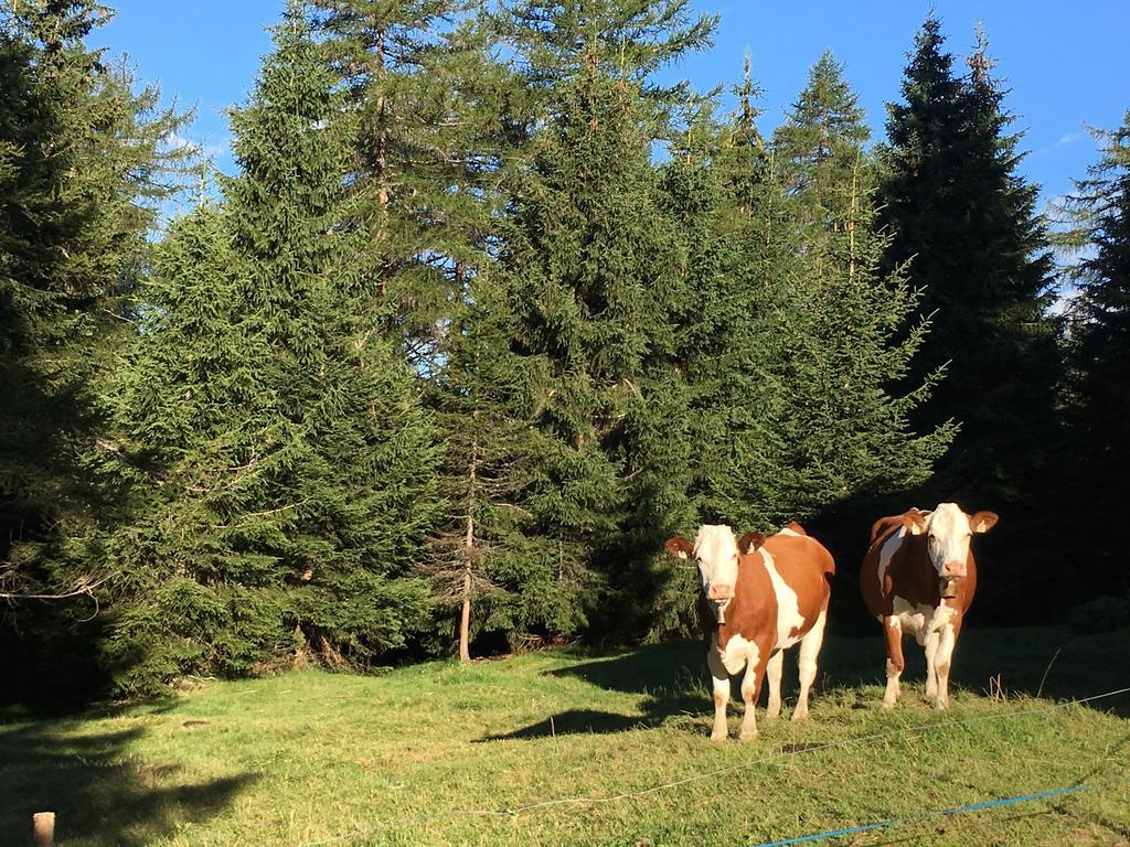 Hotel Garni Enrosadira Vigo di Fassa Zewnętrze zdjęcie