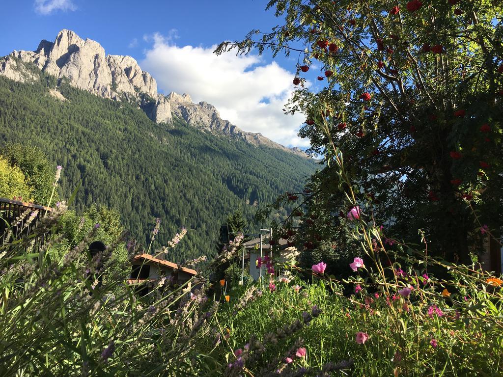 Hotel Garni Enrosadira Vigo di Fassa Zewnętrze zdjęcie