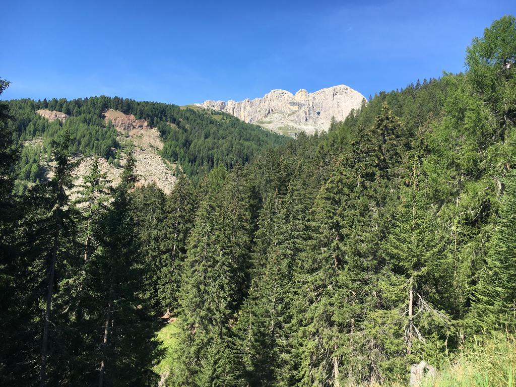 Hotel Garni Enrosadira Vigo di Fassa Zewnętrze zdjęcie